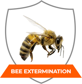BEE EXTERMINATION