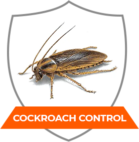 COCKROACH CONTROL