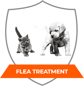 FLEA TREATMENT