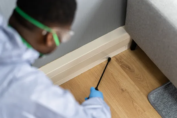 Pre-Purchase-Inspections-1