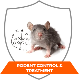 RODENT CONTROL & TREATMENT