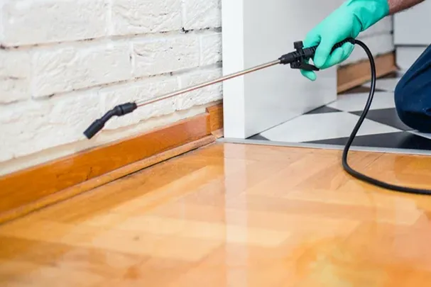 Termite-Inspections-1